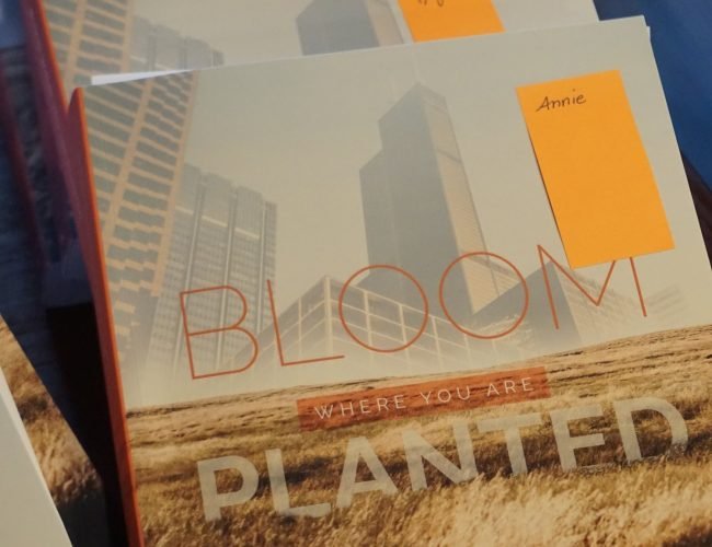 Bloom1